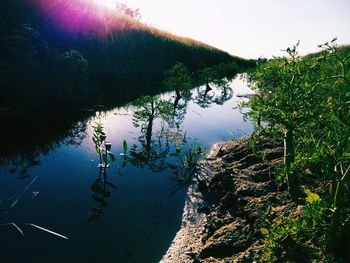 Reflection of trees in lake against sky