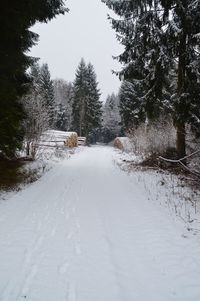 Snow covered road amidst trees against sky