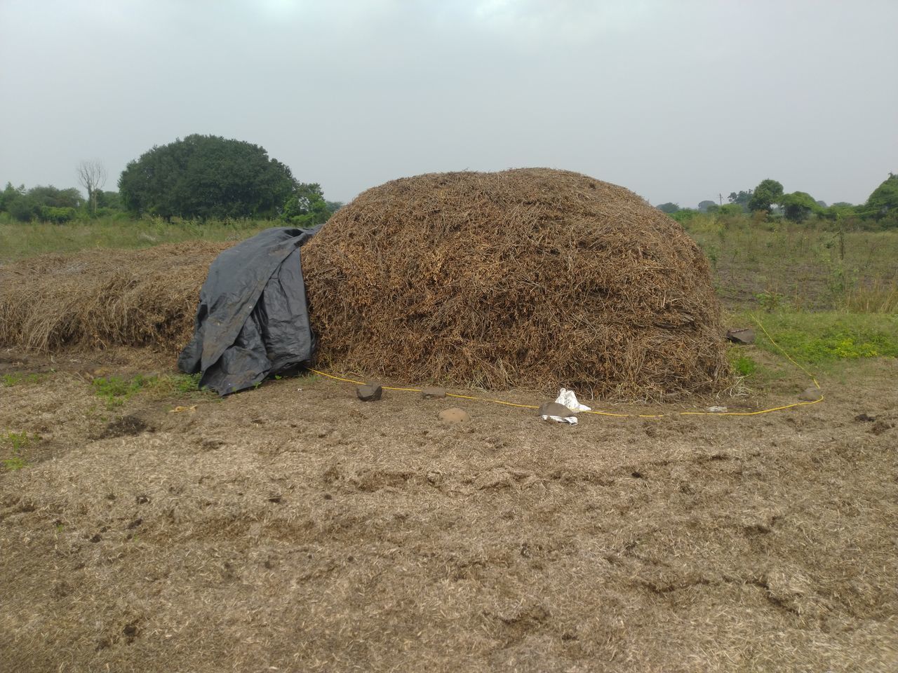 VIEW OF HAY BALES ON FIELD