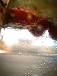 Close-up of wet glass window