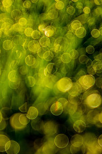 Defocused image of green and yellow illuminated lights at night