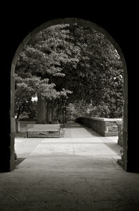 Trees seen through archway