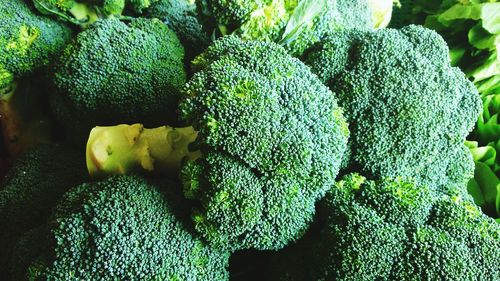 Close-up of broccolis