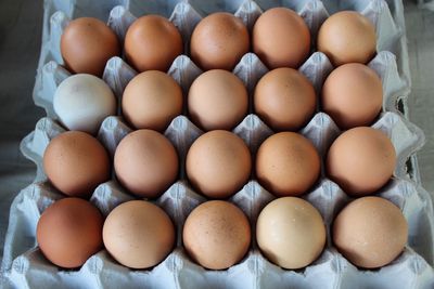 High angle view of eggs in box