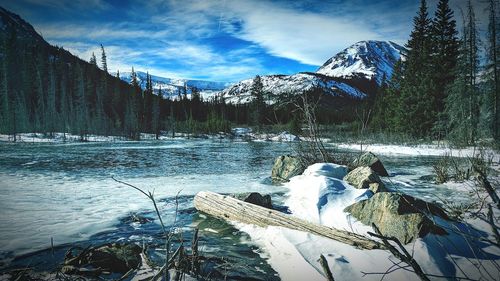 Frozen lake by trees against sky