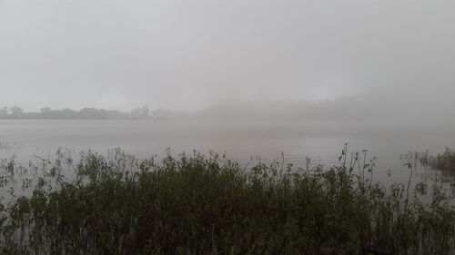 View of lake in foggy weather