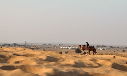 Man sitting on camel in desert against sky