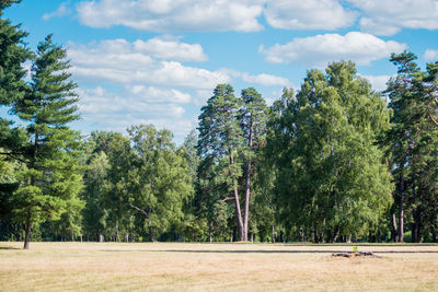 Trees on field against sky