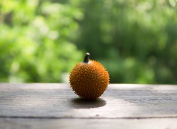 Close-up of fruit on table