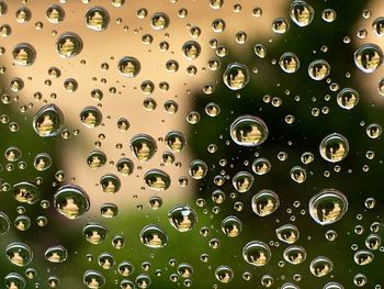 Close-up of water drops on glass