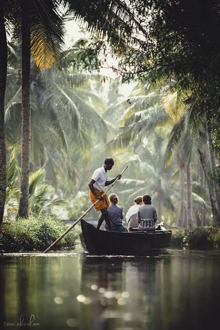 water, tree, men, nautical vessel, plant, nature, transportation, reflection, adult, sitting, mode of transportation, river, two people, vehicle, travel, forest, day, togetherness, tropical climate, outdoors, oar, women, beauty in nature, person, leisure activity, trip, holiday, vacation, morning, lifestyles, canoe, boat, tranquility, rowing