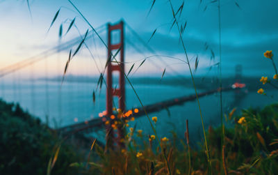 Defocused image of golden gate bridge against sky