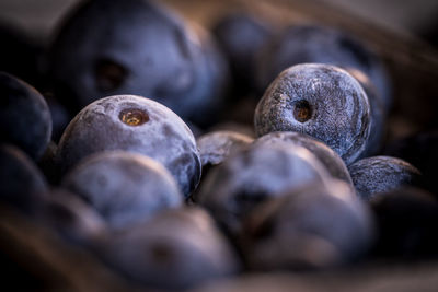 Close-up of blueberries