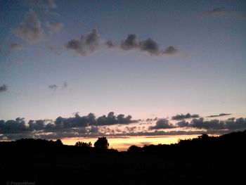 Silhouette of trees at sunset