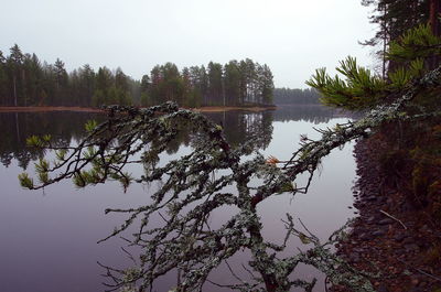 Scenic view of lake against clear sky