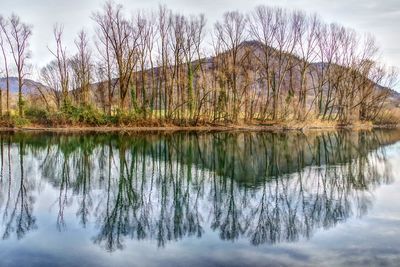 Reflection of trees in lake against sky