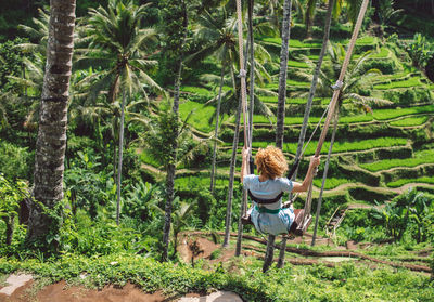 Rear view of woman swinging over rice terraces 