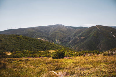 Colorful vegetation landscape with mountains against blue sky