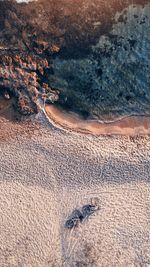 Aerial view of a beach and bicycles