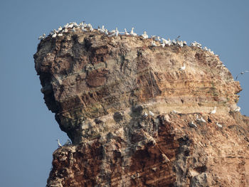 Low angle view of rock formation against sky