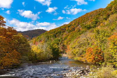 Scenic view of river amidst trees against sky during autumn