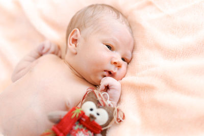 Closeup portrait, newborn baby with owl toy lying on bed, napping or sleeping