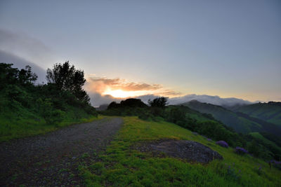 Scenic view of field against sky during sunset