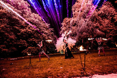 Illuminated trees against sky at night