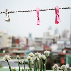 Close-up of clothespins hanging on clothesline against sky