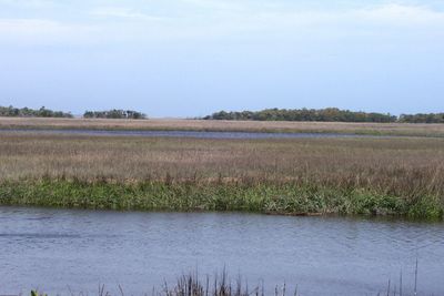 Scenic view of lake by field against sky