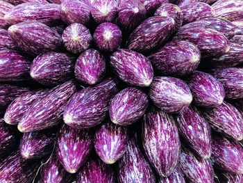 Full frame shot of purple flowers