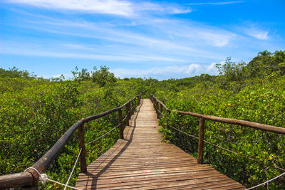 Footbridge amidst trees against sky