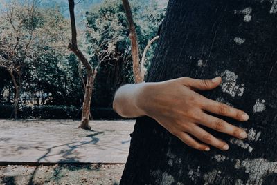 Close-up of hand against tree trunk