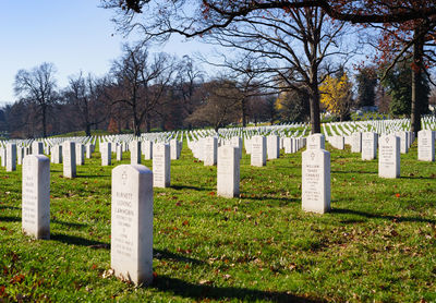 View of trees on field