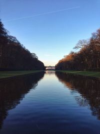 Reflection of trees in water