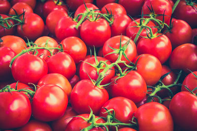 Full frame shot of tomatoes