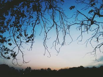 Silhouette of bare trees against sky at sunset