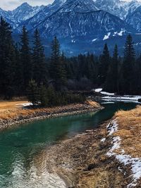 Scenic view of snow covered mountain