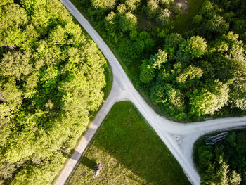 Nature and landscape aerial view of a forest and a naturalistic path,