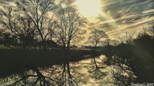 Reflection of silhouette trees in lake against sky