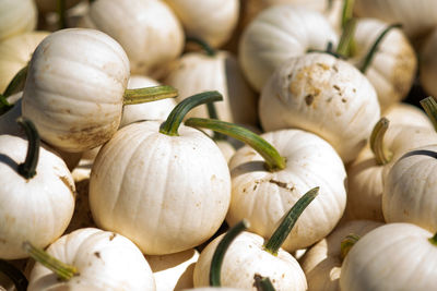 Close-up of vegetables for sale in market