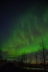 Scenic view of landscape against star field at night