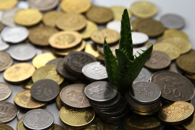 High angle view of coins on table