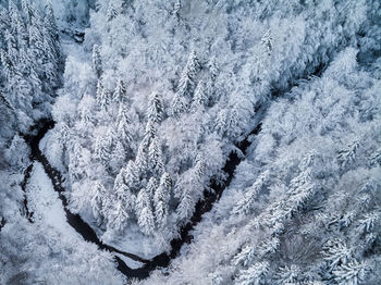 Full frame shot of snow