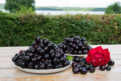 Close-up of berries growing on table