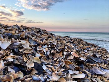 Stack of pebbles at beach against sky during sunset