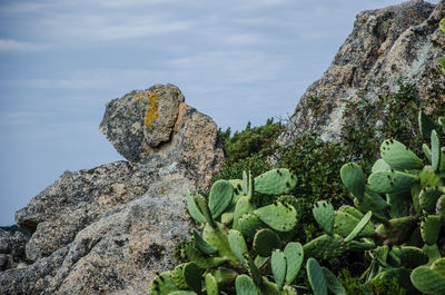 Low angle view of rock formation against sky