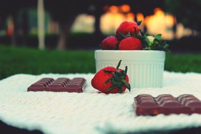 Close-up of chocolate and strawberries with bowl on white fabric at park