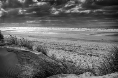 Scenic view of beach against sky