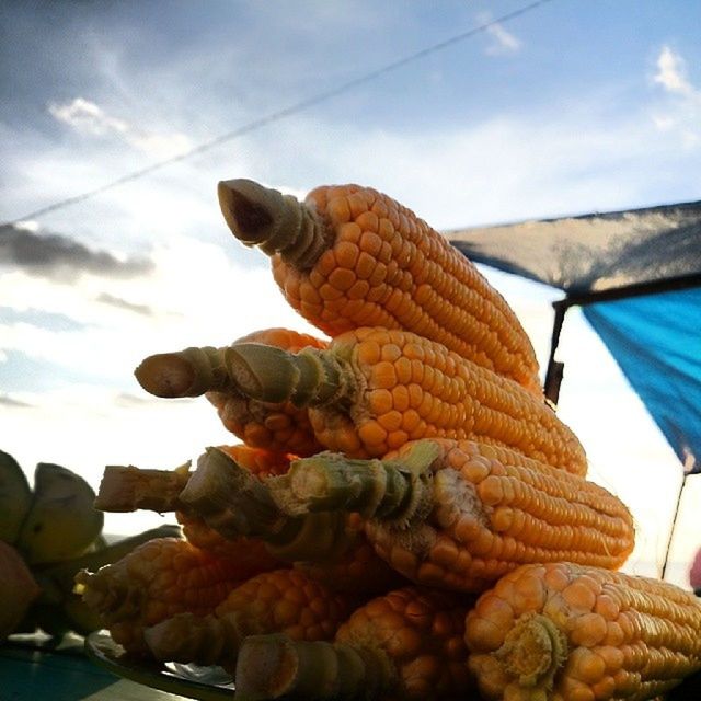 low angle view, sky, cloud - sky, food, animal representation, outdoors, cloud, day, no people, animal themes, cable, food and drink, sunlight, art and craft, perching, close-up, rope, hanging, nature, blue